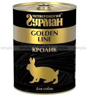 golden_dog_340krolik.800x600w